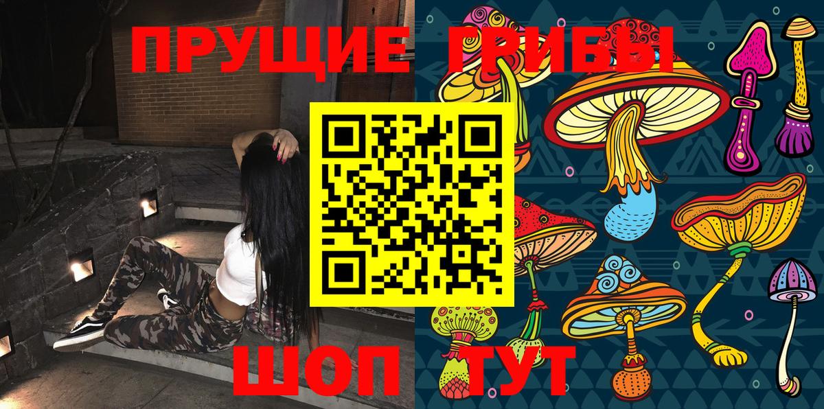 Кизилюрт  Галлюциногенные грибы MAGIC MUSHROOMS  Вход с VPN 